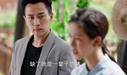 吃瓜电视剧全集免费,揭秘热门剧集背后的精彩故事